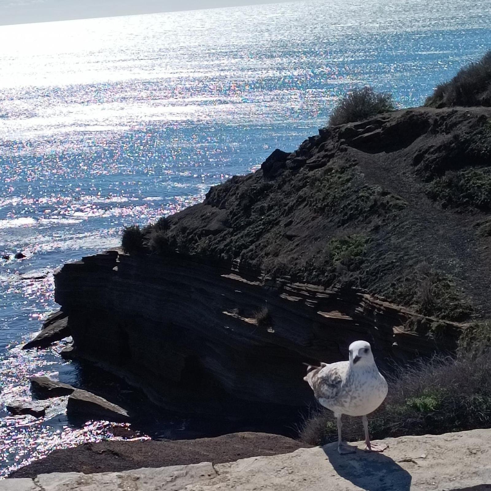 Appartement Au Cap ! Agde